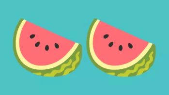 Illustration of two slices of melon against a teal background | CoppaFeel! | Breast cancer awareness