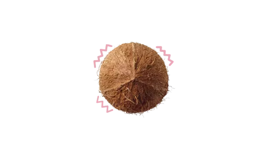 An image of a coconut with pink squiggled lines surrounding it signifying chest pain